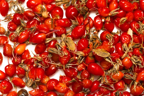 Rote Briar Beeren Auf Weißem Hintergrund — Stockfoto