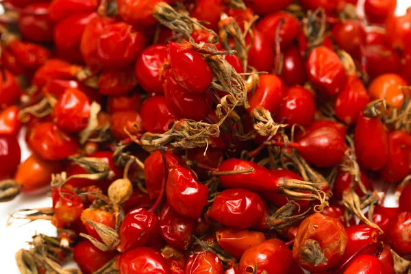Rote Briar Beeren Auf Weißem Hintergrund — Stockfoto