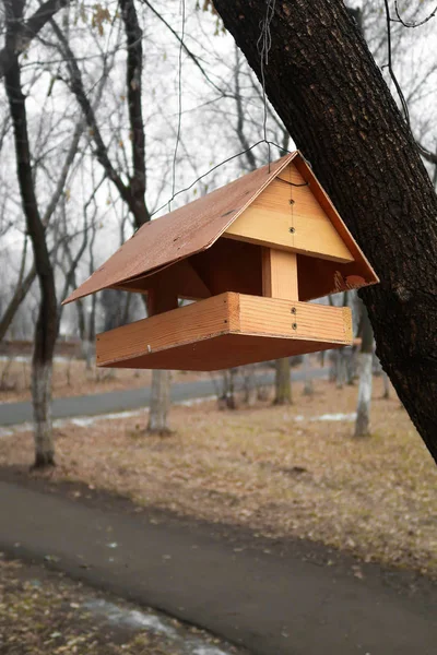 Bird Feeder Park Autumn — Stock Photo, Image