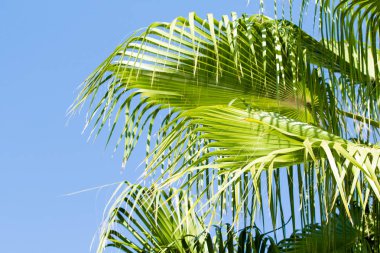 avuç içi gökyüzü bulutlar, peyzaj