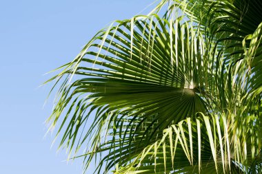 avuç içi gökyüzü bulutlar, peyzaj