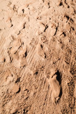 kumlu deniz plaj, peyzaj