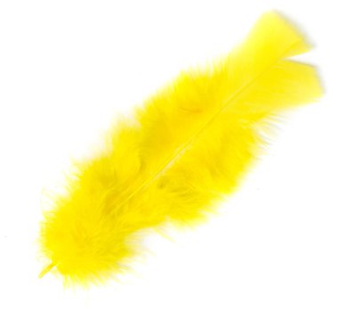 Beyaz arka plan üzerinde renkli kuş tüyü