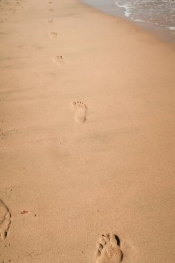 kumlu deniz plaj, peyzaj