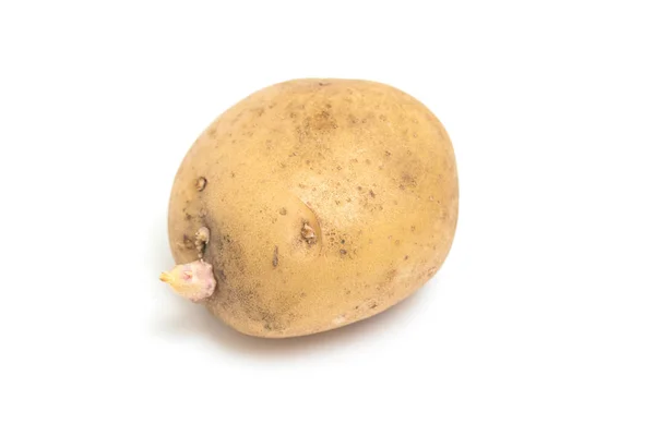 Сира Органічна Картопля Ізольована Білому Тлі — стокове фото