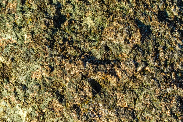Moss Stone Background — Stock Photo, Image