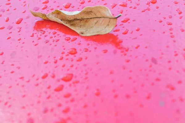 Gotas Lluvia Una Pared Roja —  Fotos de Stock