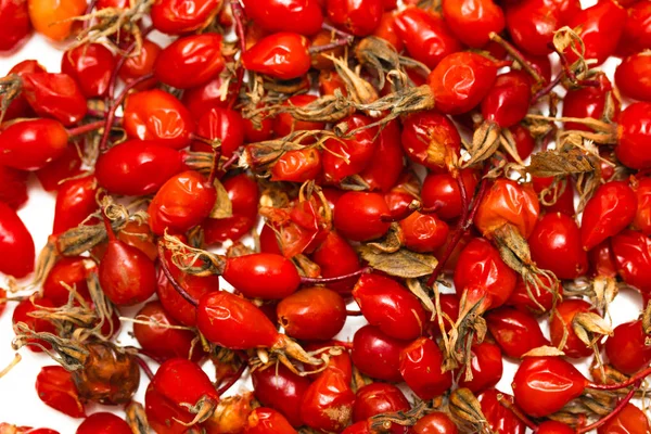 Rote Briar Beeren Auf Weißem Hintergrund — Stockfoto