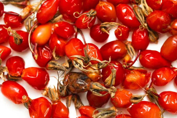 Rote Briar Beeren Auf Weißem Hintergrund — Stockfoto