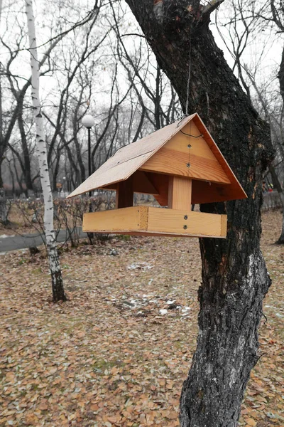 Kuş Besleyici Parkta Sonbahar — Stok fotoğraf