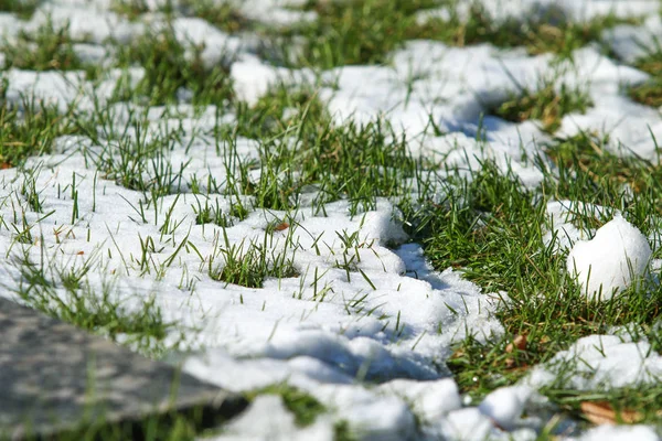 Prima Neve Sull Erba Verde Autunno — Foto Stock