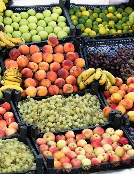 ripe fruits on the counters in market