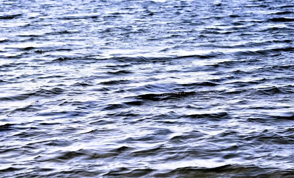 clear clear water in a lake with a wave