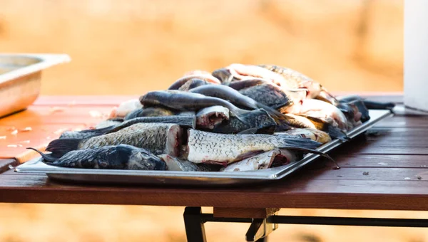 Ryby Stole Sprzedaż — Zdjęcie stockowe
