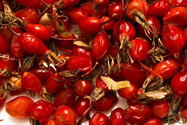 Rote Briar Beeren Auf Weißem Hintergrund — Stockfoto