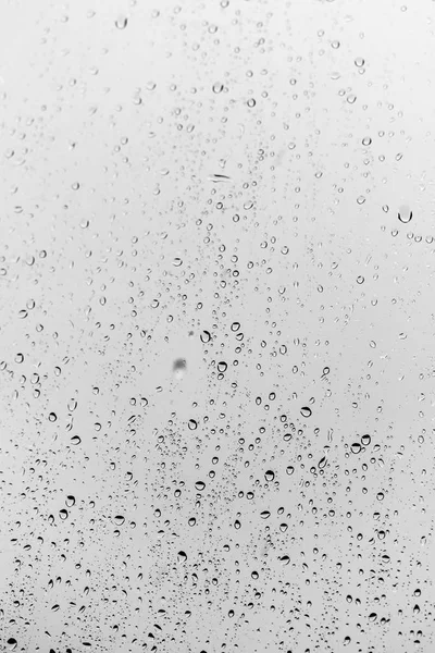 Regen Druppels Het Glas Achtergrond — Stockfoto