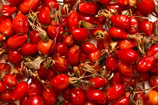 Rote Briar Beeren Auf Weißem Hintergrund — Stockfoto