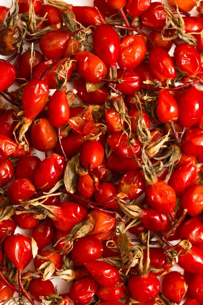 Rote Briar Beeren Auf Weißem Hintergrund — Stockfoto