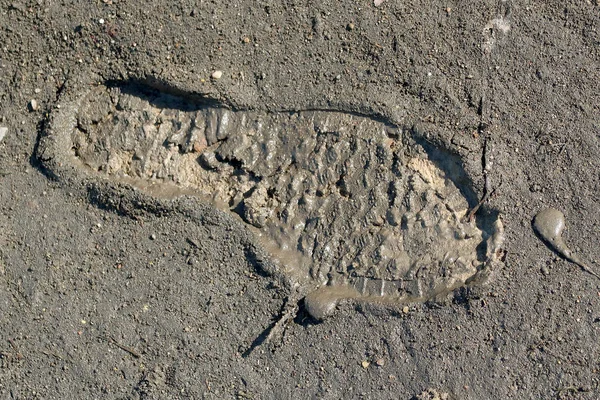 A trace of shoes in the mud