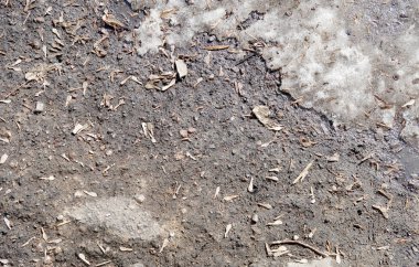 Bahar toprak altından kar, bahar arka plan