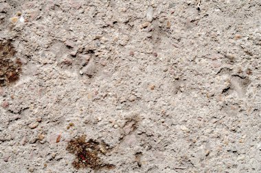 Beton duvar eski. Dokulu arka plan.