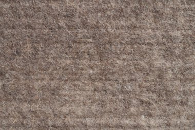 Koyun veya deve yün veya halı yapılmış