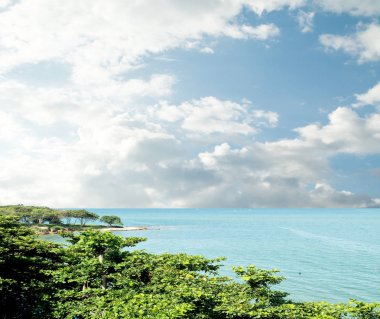 gökyüzü ve ağaçları ile doğal deniz manzarası görünümü