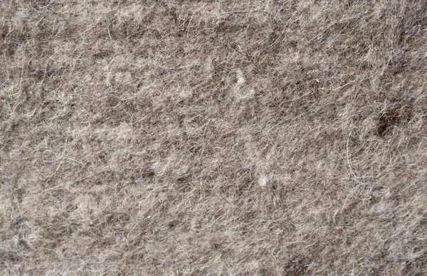 Felted Carpet Made Sheep Camel Wool — Stock Photo, Image