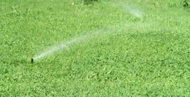 Sulama sistemi yeşil çim sulama