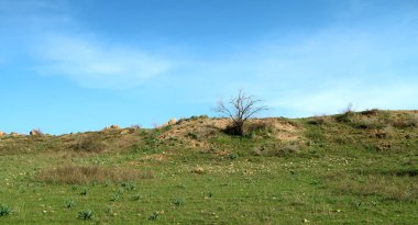 Yeşil bozkır tepeler. Doğal arka plan