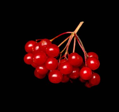 siyah bir arka plan üzerinde kırmızı meyveler kartopu