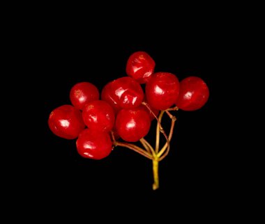 siyah bir arka plan üzerinde kırmızı meyveler kartopu