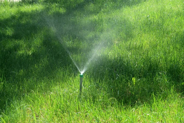 Sulama sistemi yeşil çim sulama