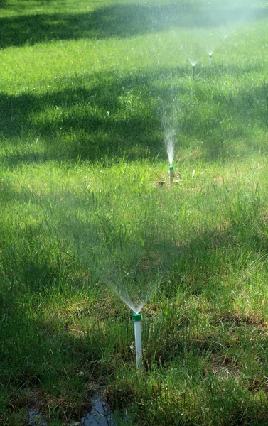 灌漑システムの水やり緑の草 — ストック写真