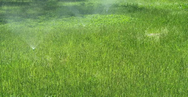 Sistema Irrigação Rega Relva Verde — Fotografia de Stock