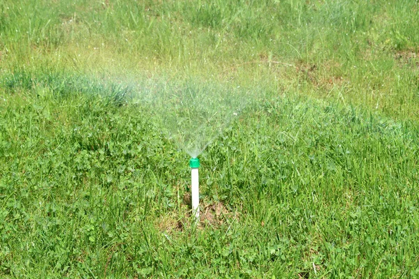 Bewässerungssystem Zur Bewässerung Des Grünen Rasens — Stockfoto