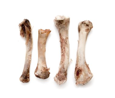 Beyaz bir arka plan üzerinde kemik tavuk