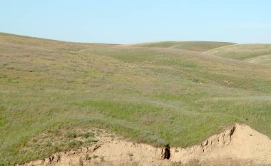 Yeşil bozkır hills güneşli