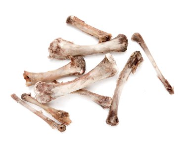 Beyaz bir arka plan üzerinde kemik tavuk