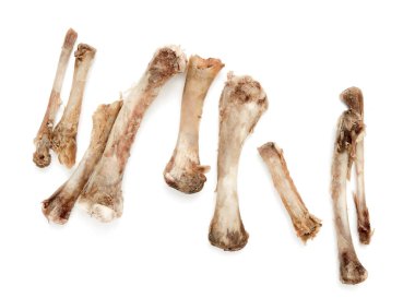 Beyaz bir arka plan üzerinde kemik tavuk