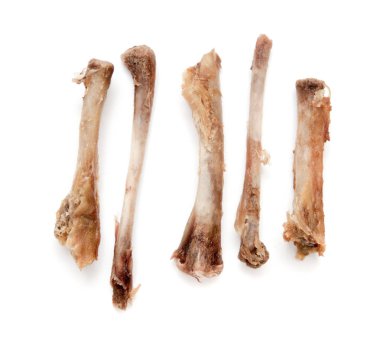 Beyaz bir arka plan üzerinde kemik tavuk