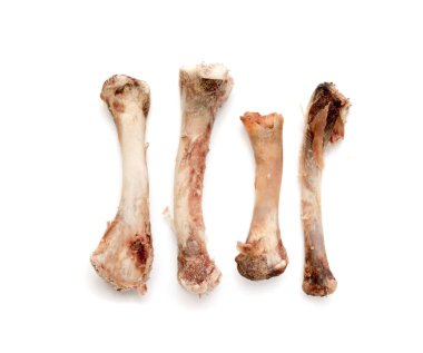 Beyaz bir arka plan üzerinde kemik tavuk