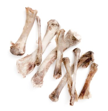 Beyaz bir arka plan üzerinde kemik tavuk