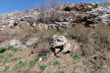 Dağlar taşlar, hills, çayırlar, bahar manzara