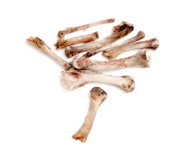 Beyaz bir arka plan üzerinde kemik tavuk