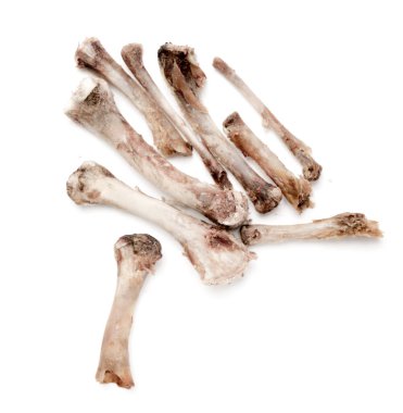 Beyaz bir arka plan üzerinde kemik tavuk