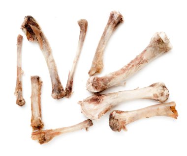 Beyaz bir arka plan üzerinde kemik tavuk