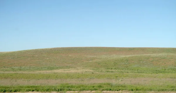 Grön Stäpp Hills Solig Dag — Stockfoto