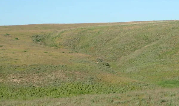 Collines Steppe Verdoyantes Par Une Journée Ensoleillée — Photo