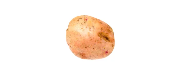 Aardappel Geïsoleerd Witte Achtergrond — Stockfoto